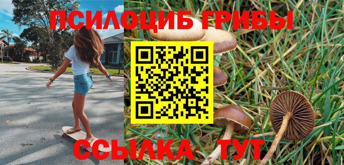 Галлюциногенные грибы мицелий Ессентуки